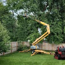 Best Seasonal Cleanup (Spring/Fall)  in Union City, GA